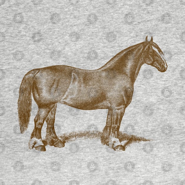 Draft Horse Mare Vintage Illustration by Biophilia